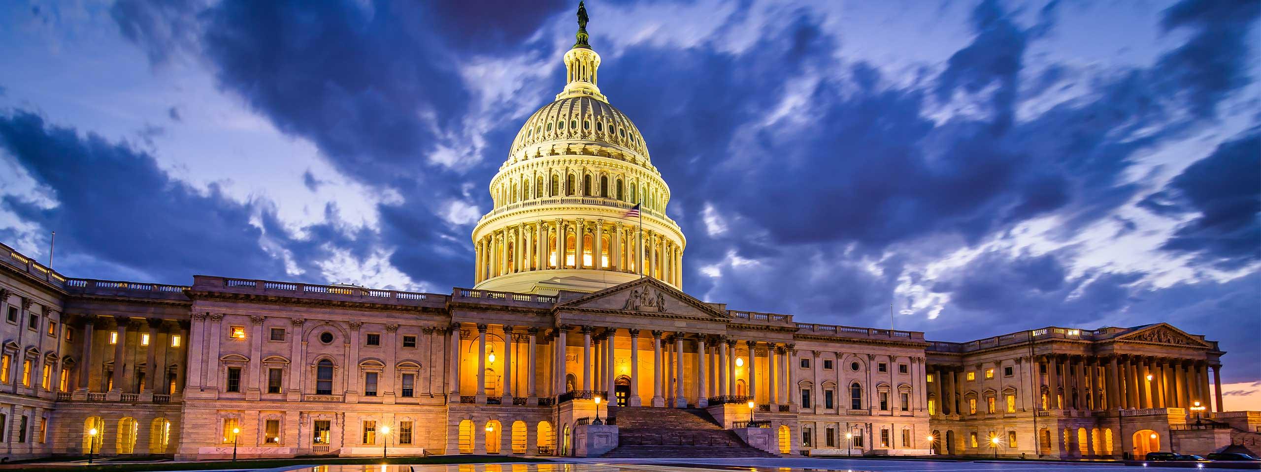 Government Type/Budget Simulation