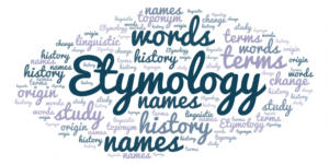 Looking at Word Usage for Trends