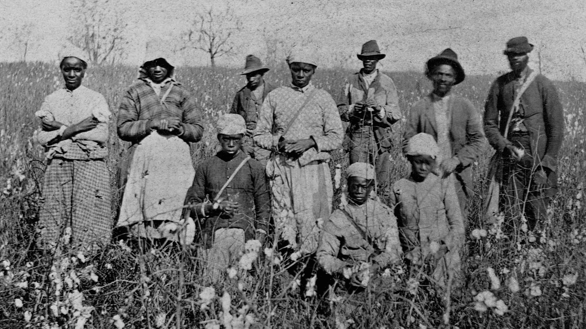 Sharecropping Simulation Activity: Understanding Post-Civil War Hardships